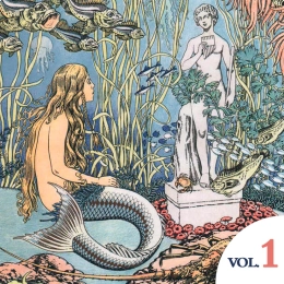 Les contes d'Hans Christian Andersen - Volume 1