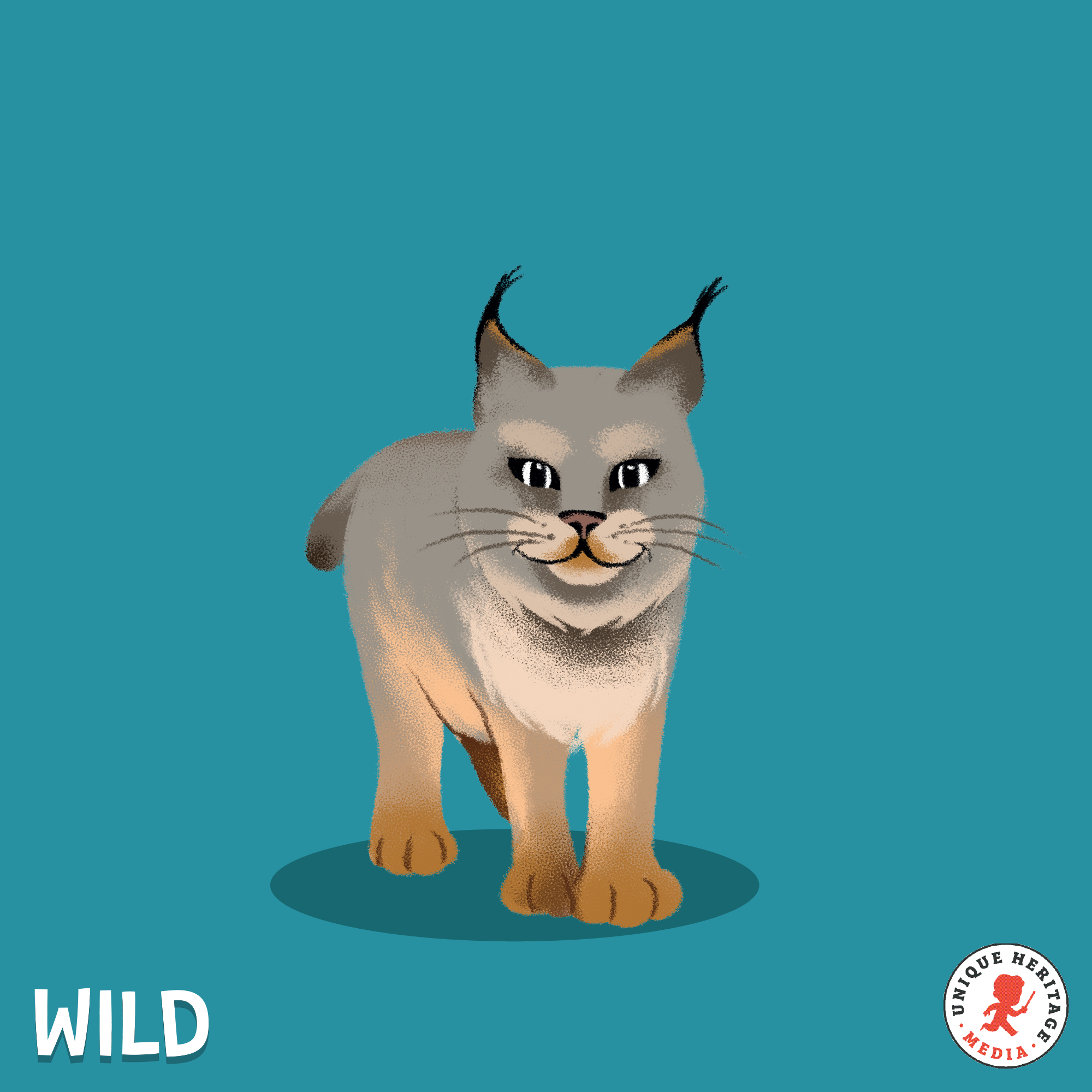 Le lynx, sur les traces du fantôme de la forêt