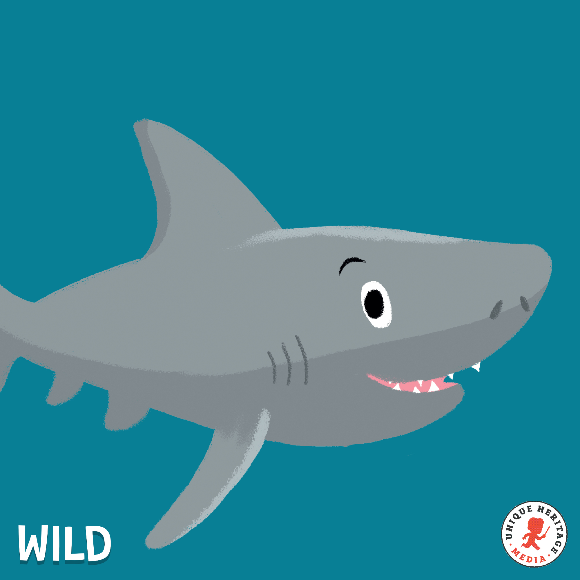 Le grand requin blanc pas si méchant